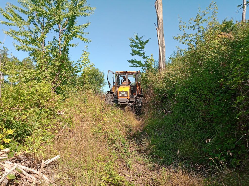 Mäharbeiten Wanderweg Bramberg